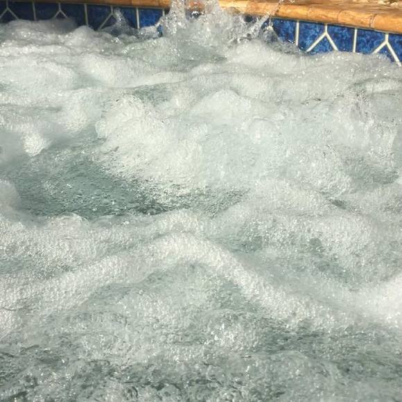 Meet your Posher, Aldo - Picture 1 of 1